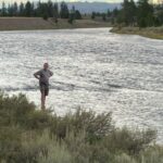Madison River from Riverside Trail